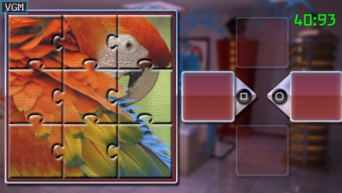 Brain Bender