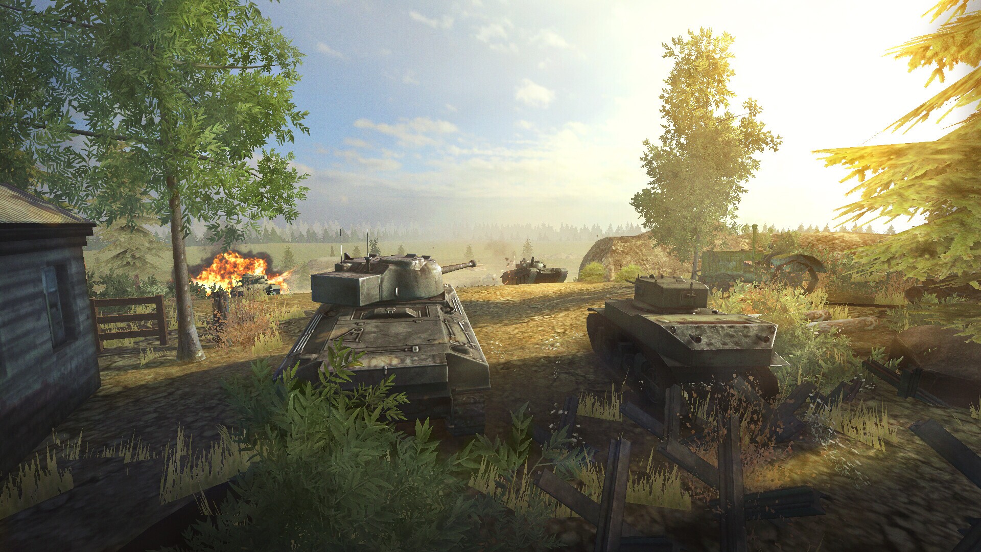 Tanks Furry